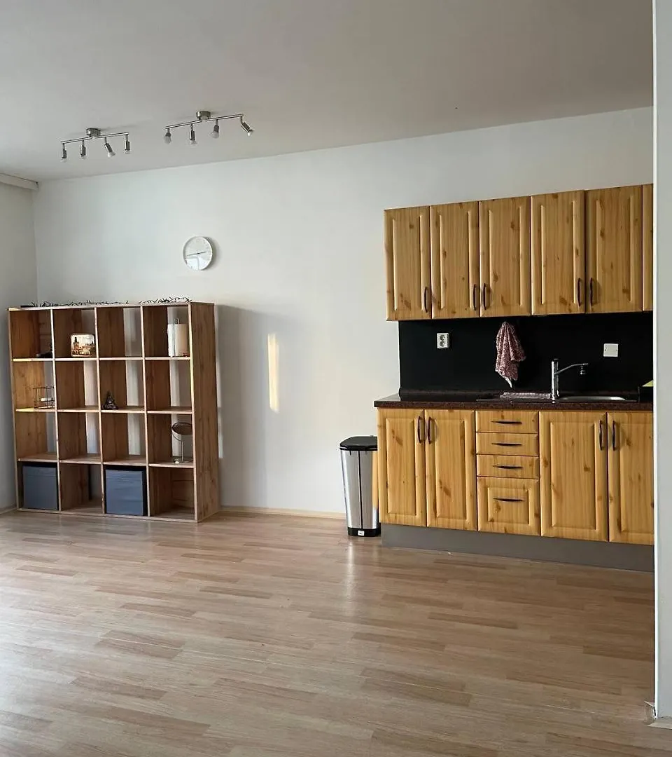 Cozy Bright Apartment Prague 0*,